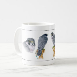 Café Taza de la cetrería del peregrino