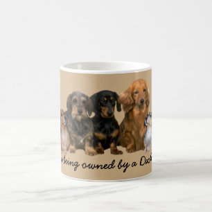 Café Taza de la cuadrilla del Dachshund