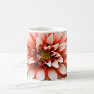 Café Taza de la dalia