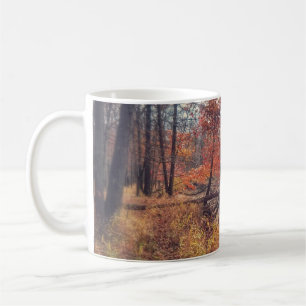 Café Taza de la escena de Fall River