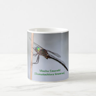 Café Taza de la esmeralda de la moca