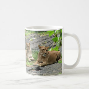 Café Taza de la familia del león en descanso