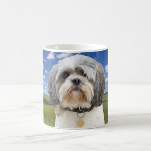 Café Taza de la foto de Shih Tzu