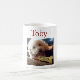 Café Taza de la foto de Toby