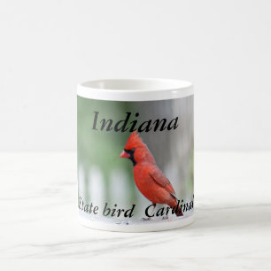Café Taza de la foto del pájaro de estado de Indiana