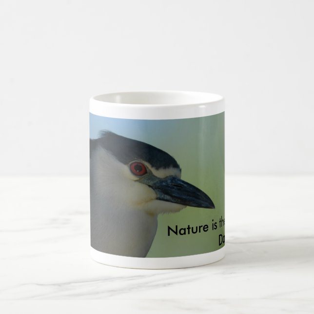 Café Taza de la garza de noche (Centro)