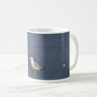 Café Taza de la gaviota
