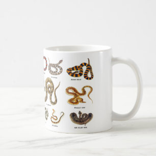 Café Taza de la identificación de la serpiente
