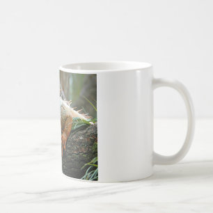 Café Taza de la iguana