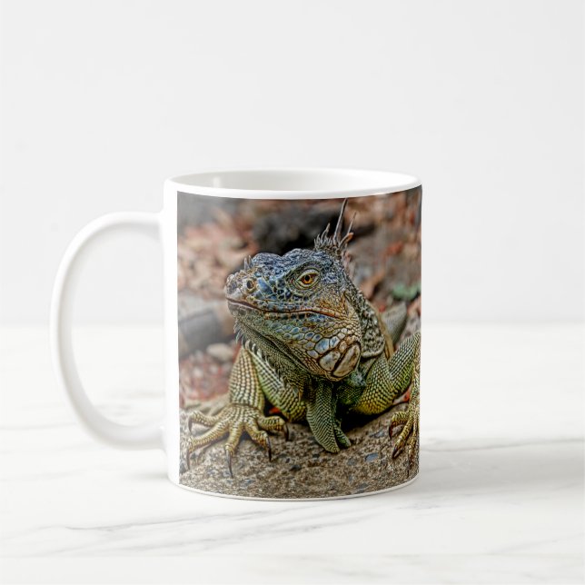Café Taza de la iguana (Izquierda)