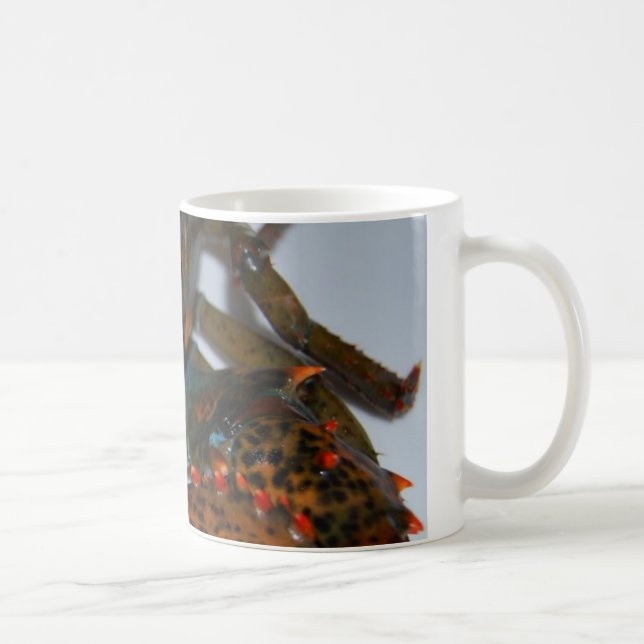 Café taza de la langosta (Derecha)