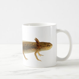 Café Taza de la larva del Newt