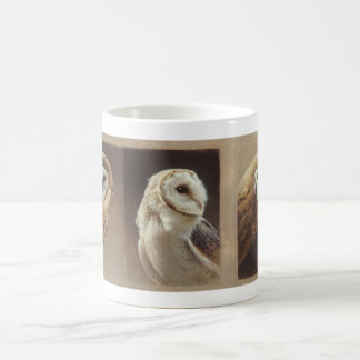 Café Taza de la lechuza común