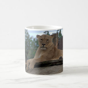 Café Taza de la leona