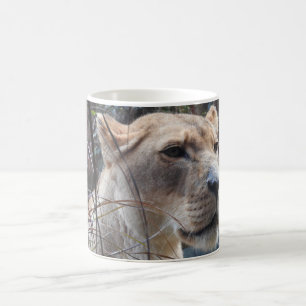 Café Taza de la leona