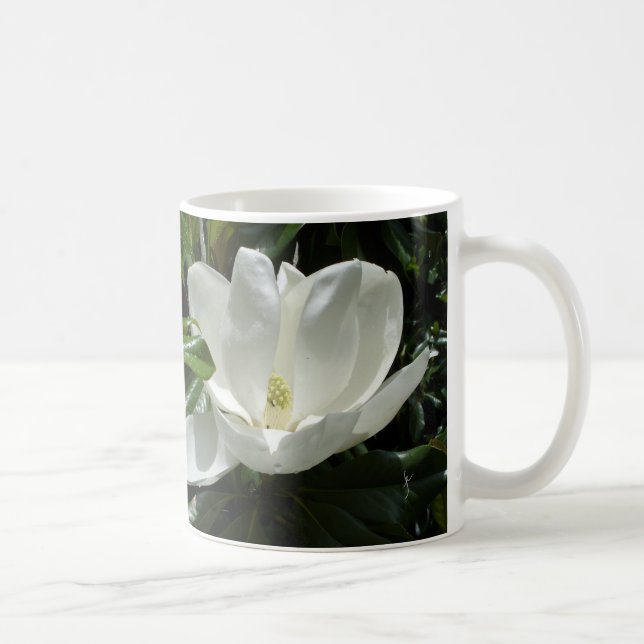 Café Taza de la magnolia (Derecha)