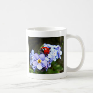 Café taza de la mariquita