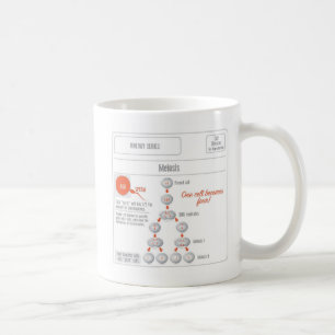 Café Taza de la mitosis de los productos de EduPaper y