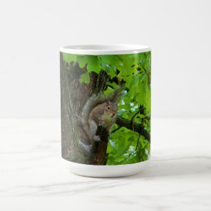 Café Taza de la naturaleza con ardilla en roble