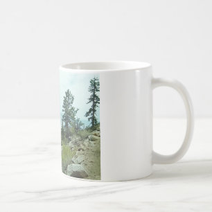 Café Taza de la opinión #5 del rastro del Monte Whitney