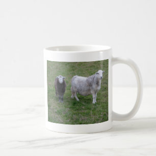 Café Taza de la oveja y del cordero de Herdwick