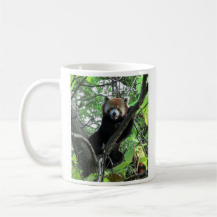 Café Taza de la panda roja