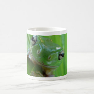 Café Taza de la rana