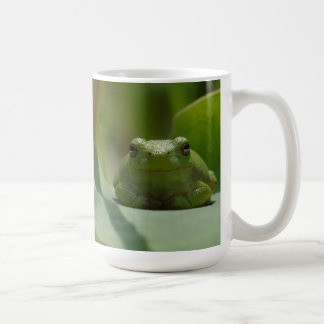 Café Taza de la rana arbórea