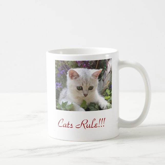 Café Taza de la regla del gato (Derecha)