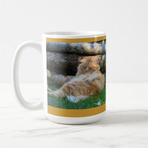Café Taza de la relajación