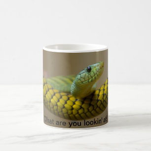 Café Taza de la serpiente