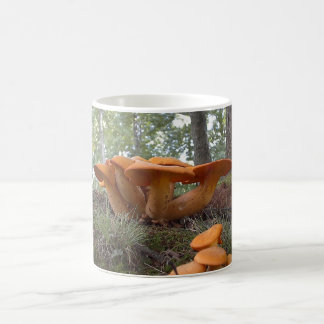 Café Taza de la seta 13