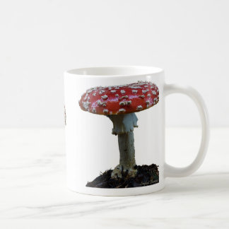 Café Taza de la seta de tres amanitas