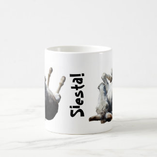 Café Taza de la siesta