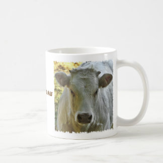 Café Taza de la vaca de Charolais