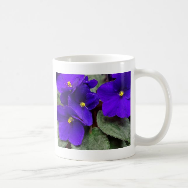 Café Taza de la violeta africana (Derecha)