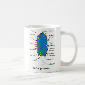 Café Taza de las bacterias