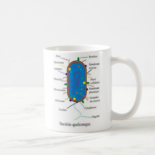 Café Taza de las bacterias (Derecha)