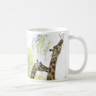 Café TAZA de las jirafas