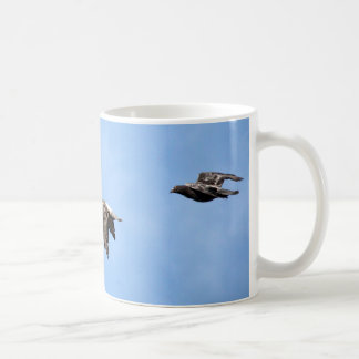 Café Taza de las posiciones de vuelo de la paloma
