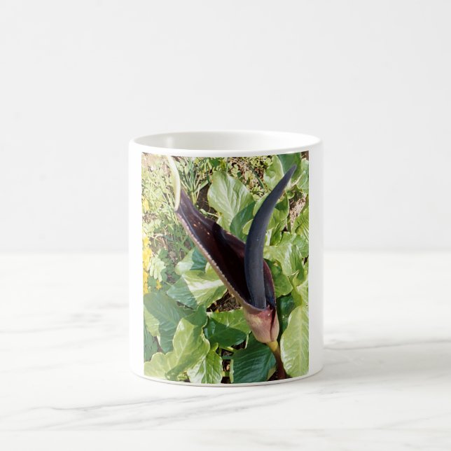Café Taza de Lilly de la cala negra (Centro)