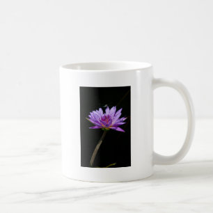 Café Taza de lirio de agua púrpura