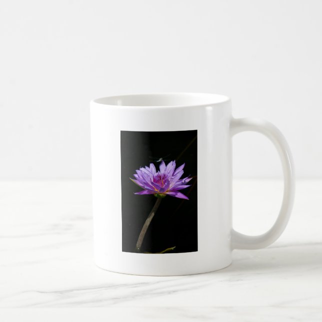 Café Taza de lirio de agua púrpura (Derecha)