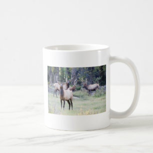 Café Taza de los alces de Bull