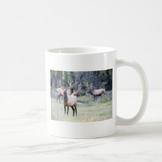Café Taza de los alces de Bull