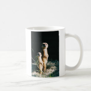 Café Taza de los amigos de Meerkat