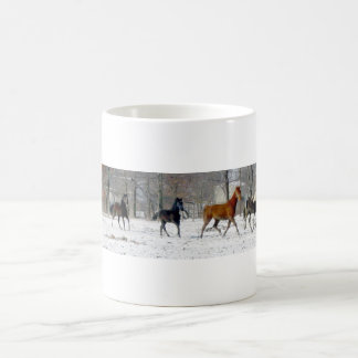 Café Taza de los caballos 02