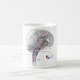 Café Taza de los caminos del cerebro