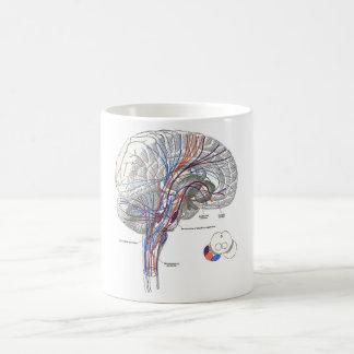 Café Taza de los caminos del cerebro
