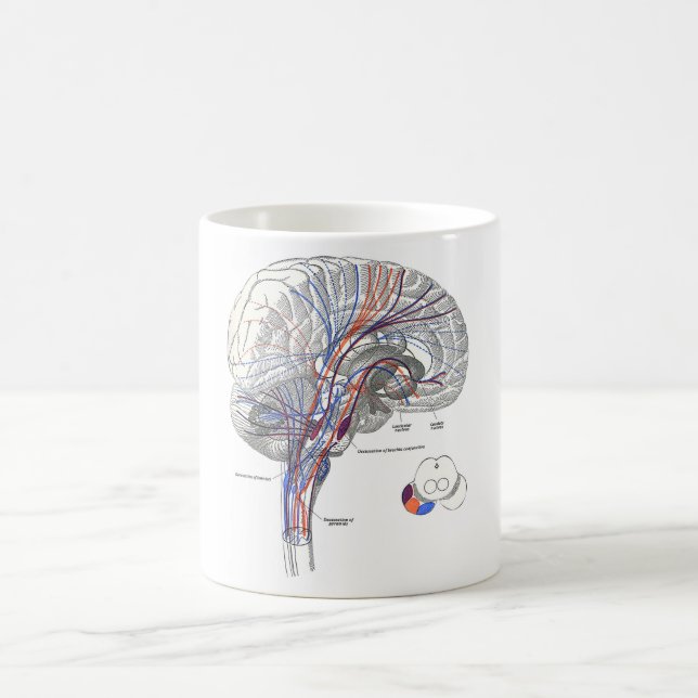 Café Taza de los caminos del cerebro (Centro)